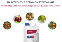 Βελτίωση Συντηρησιμότητας Φρούτων